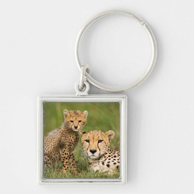 Llavero Cheetah Cub y su padre en la hierba (Frente)