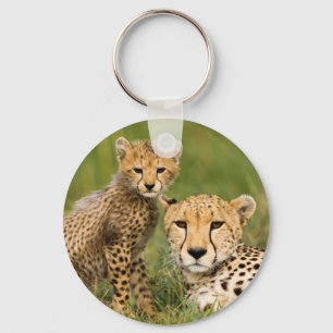 Llavero Cheetah Cub y su padre en la hierba