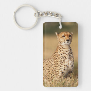 Llavero Cheetah en pequeños montones para una mejor visibi