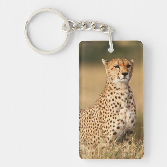 Llavero Cheetah en pequeños montones para una mejor visibi (Frente)