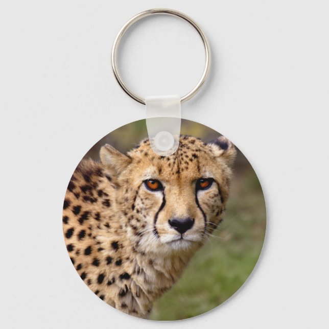 Llavero Cheetah Keyring (Anverso)