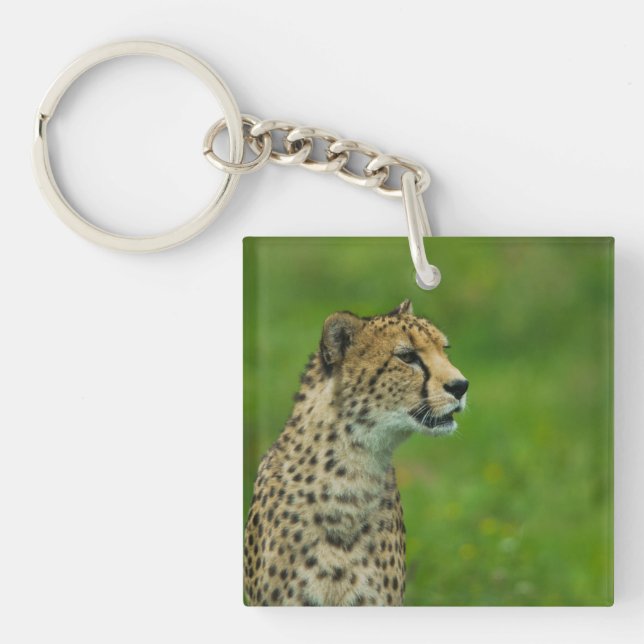 Llavero Cheetah On A Lookout (Frente)