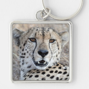 Llavero Cheetah Portrait