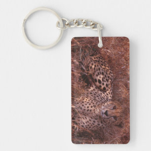 Llavero Cheetah Stare