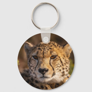 Llavero Cheetah Wildlife Big Cat