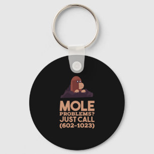 Llavero Chemistry - Mole Problems