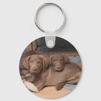 Llavero Chesapeake Bay Retrievers