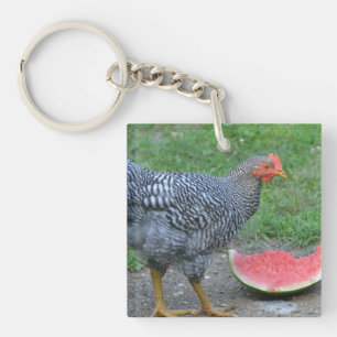 Llavero Chicken Keychain