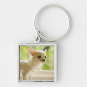 Llavero Chihuahua