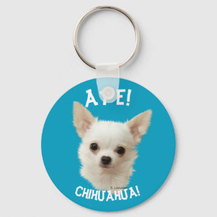 Llavero Chihuahua blanca, Aye Chihuahua