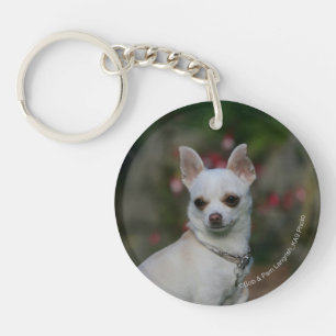 Llavero Chihuahua blanco