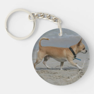 Llavero Chihuahua en la playa