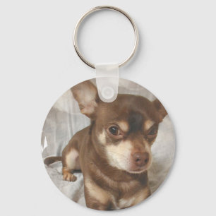 Llavero Chihuahua Keychain