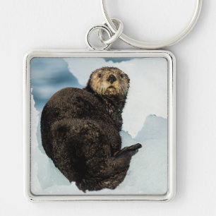 Llavero Chilly Sea Otter