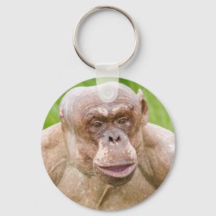 Llavero Chimpanzee Magnet sin pelo