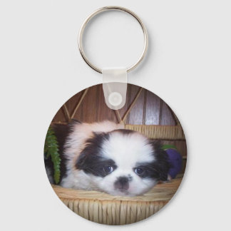 Llavero Chin Puppy japonés