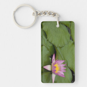 Llavero China, Hong Kong, Nuevos Territorios. Chi Lin