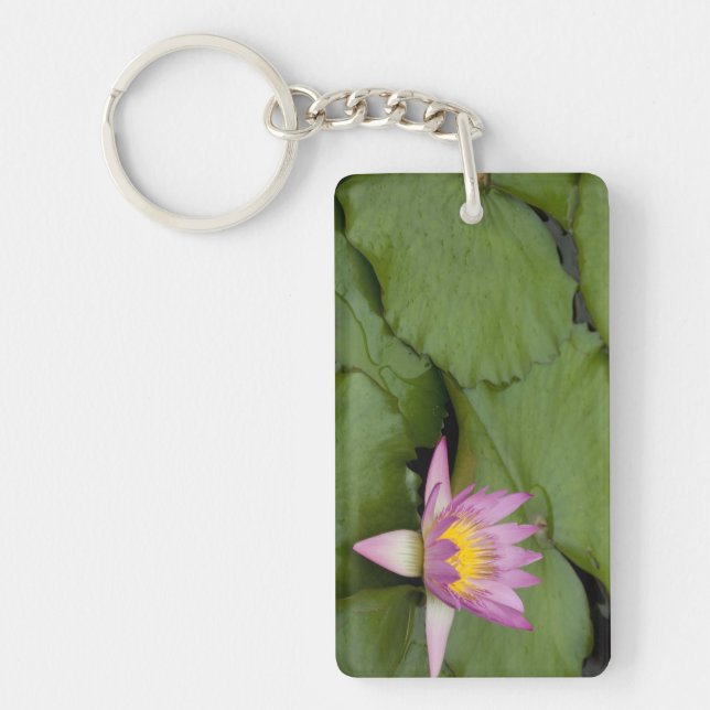 Llavero China, Hong Kong, Nuevos Territorios. Chi Lin (Frente)