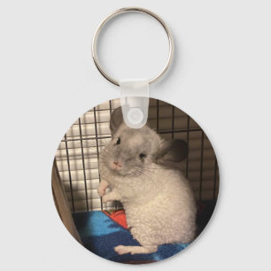 Llavero Chinchilla