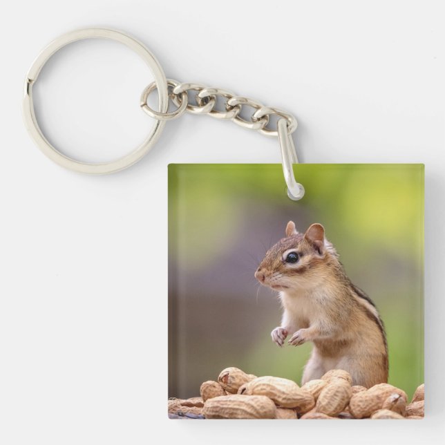 Llavero Chipmunk con cacahuetes (Frente)