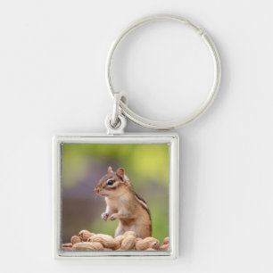 Llavero Chipmunk con cacahuetes