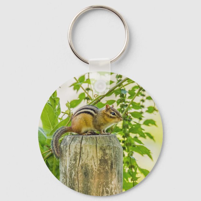 Llavero Chipmunk en un post sobre la cerca (Anverso)