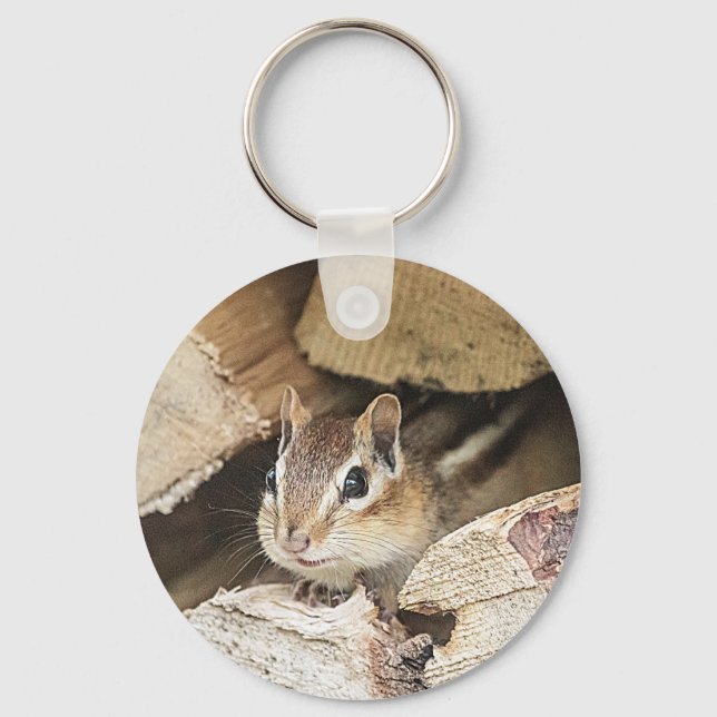 Llavero Chipmunk en una pila de madera (Anverso)