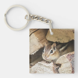 Llavero Chipmunk en una pila de madera