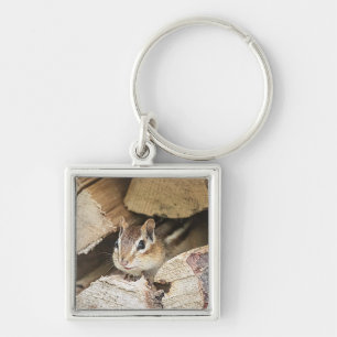 Llavero Chipmunk en una pila de madera
