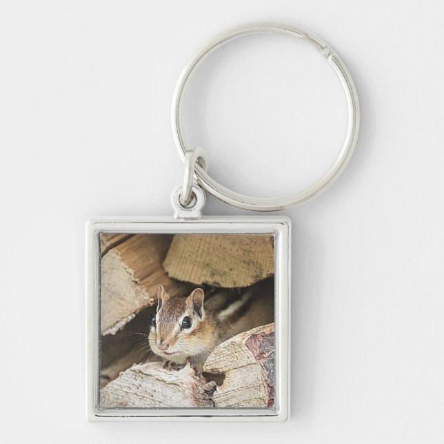 Llavero Chipmunk en una pila de madera (Frente)