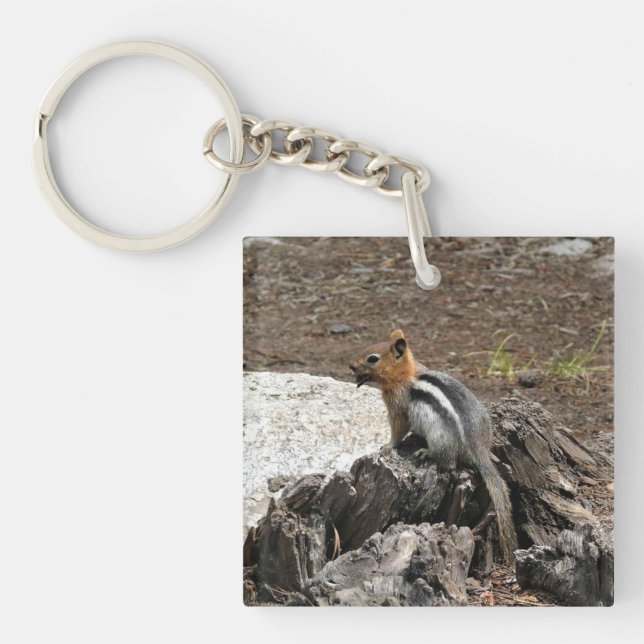 Llavero Chipmunk en Yosemite, California (Frente)