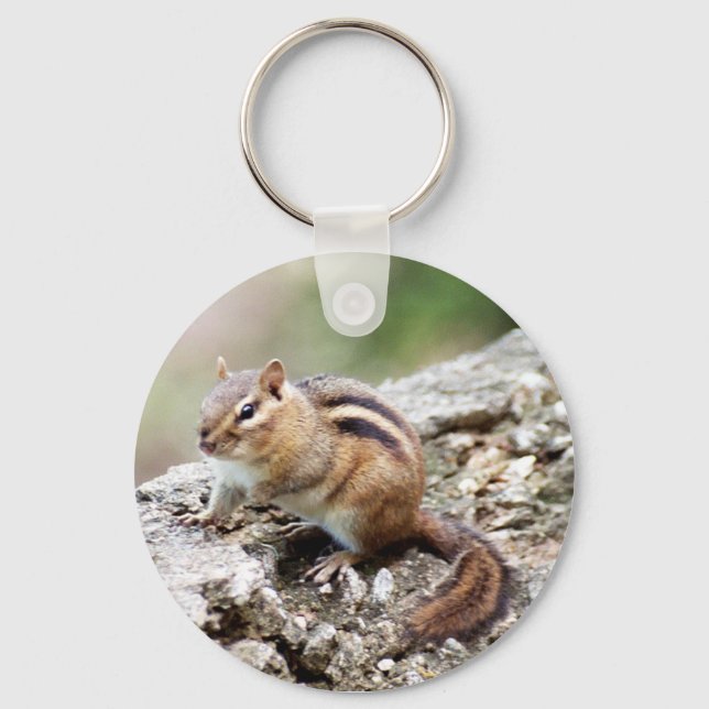 Llavero Chipmunk Keychain (Anverso)