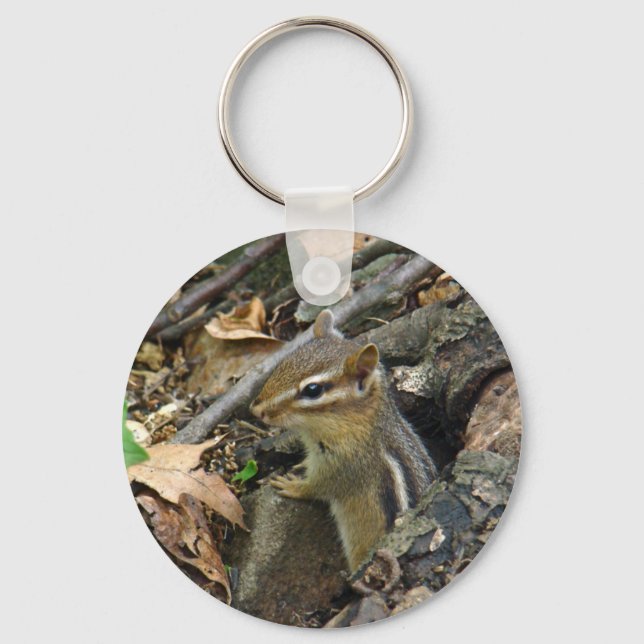 Llavero Chipmunk oriental - Tamias striatus (Anverso)