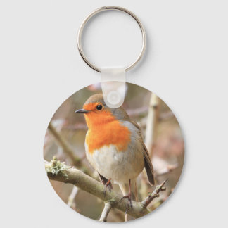 Llavero Chirpy Robin