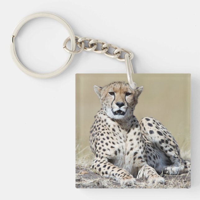 Llavero Chita en Masai Mara en Kenia. Foto (Frente)