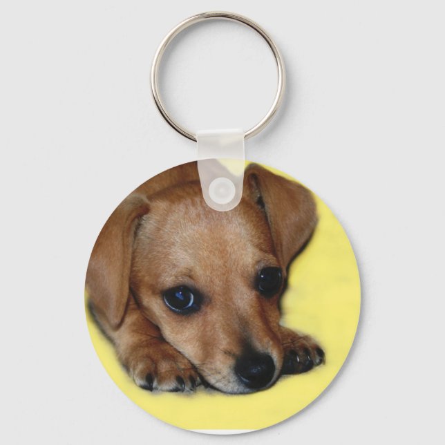 Llavero Chiweenie Puppy Keychain (Anverso)