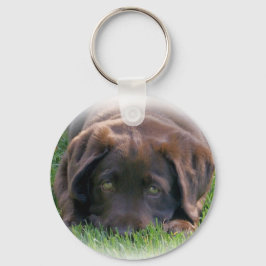 Llavero Chocolate Lab Puppy