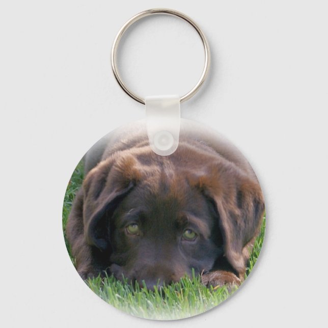 Llavero Chocolate Lab Puppy (Anverso)