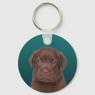 Llavero Chocolate Labrador