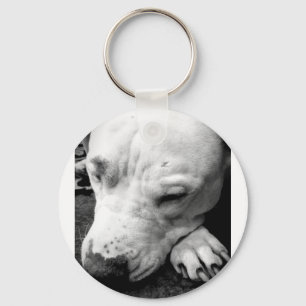Llavero cicatriz de harry potter perro pit bull blanco