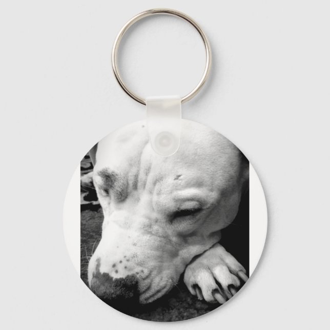 Llavero cicatriz de harry potter perro pit bull blanco (Anverso)