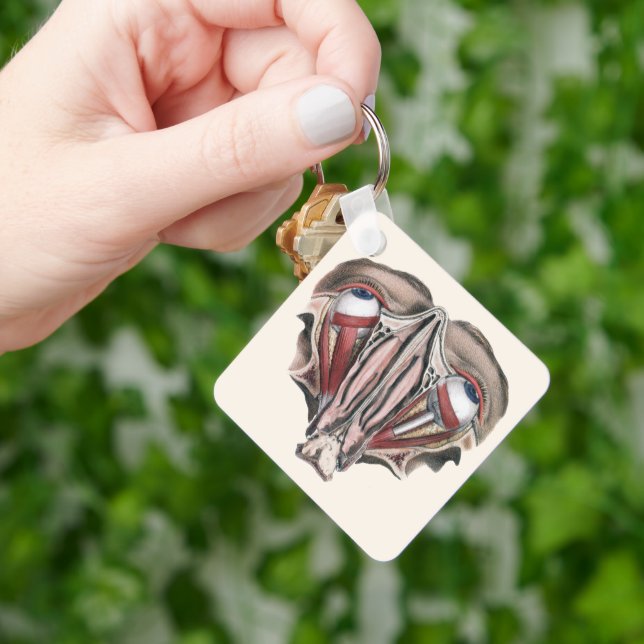 Llavero Ciencia de anatomía humana antigua, ojos globos oc (Mano)