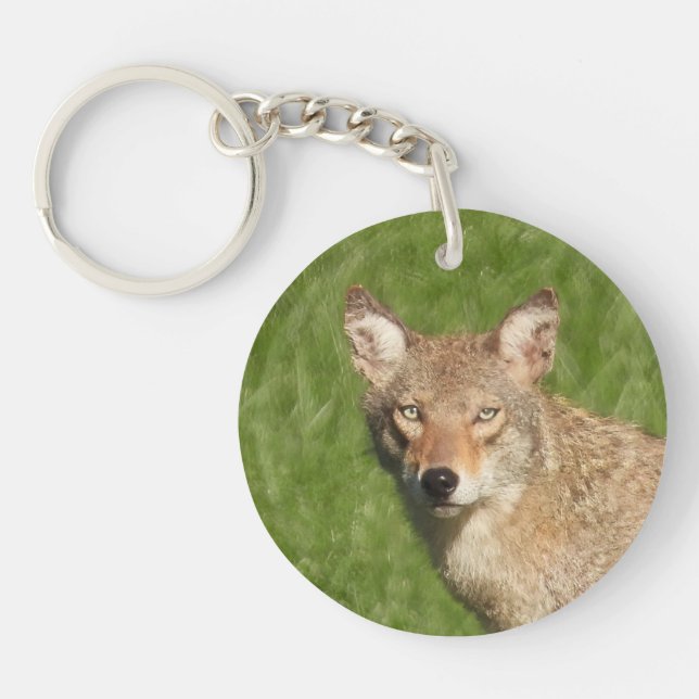 Llavero Cierre de Coyote (Frente)