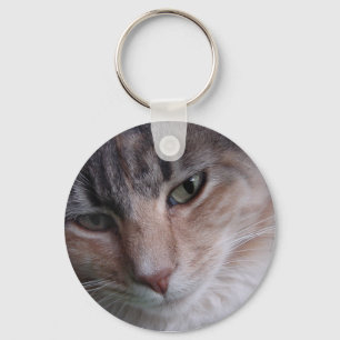 Llavero Cierre de gatos
