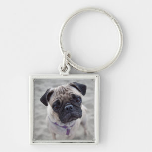 Llavero Cierre de Pug