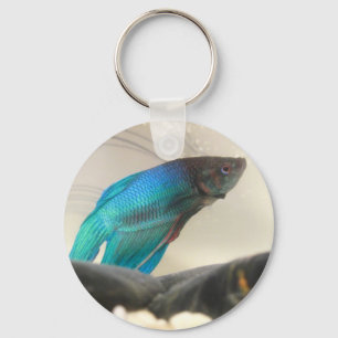 Llavero Cierre exótico de peces Betta