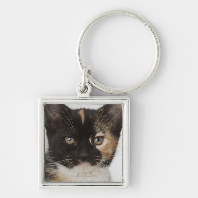 Llavero Ciérrese para arriba de gatito (Frente)