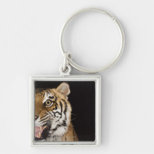 Llavero Ciérrese para arriba de la cara del tigre del