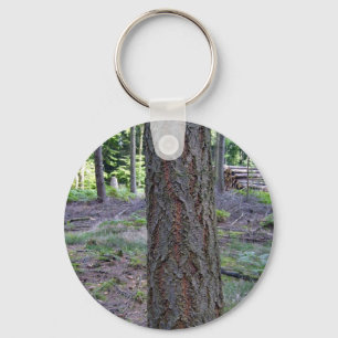 Llavero Ciérrese para arriba de tronco de árbol en bosque