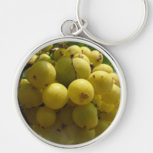 Llavero Círculo de la cadena de claves de frutas